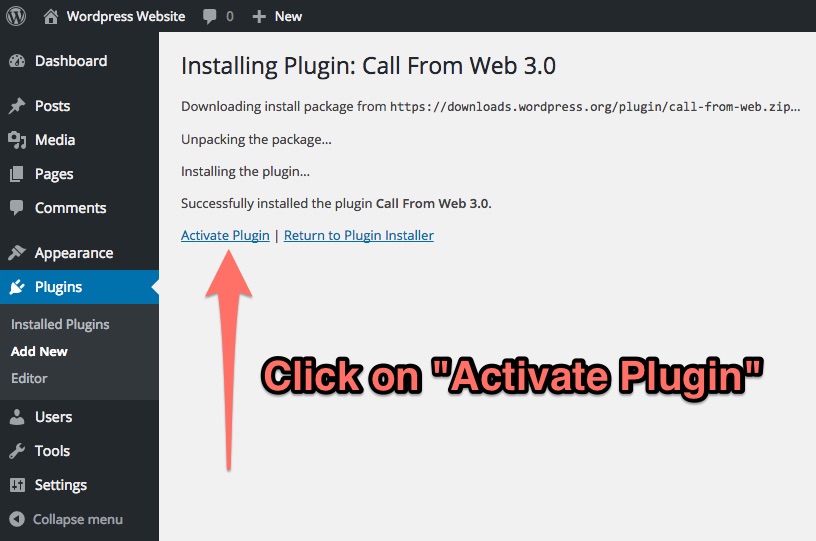 Click on "Activate Plugin"
