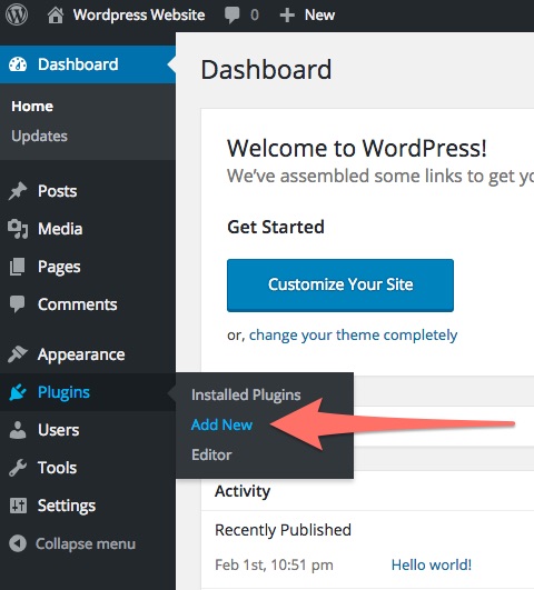 Plugins > Add New